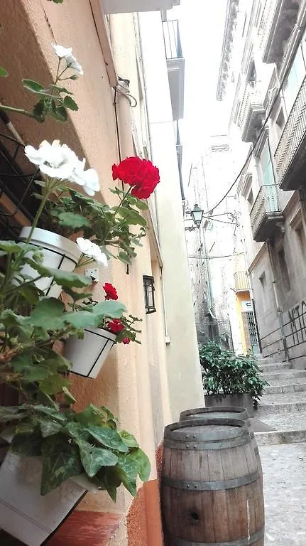 Center Plaza Figueres Apartment Spain